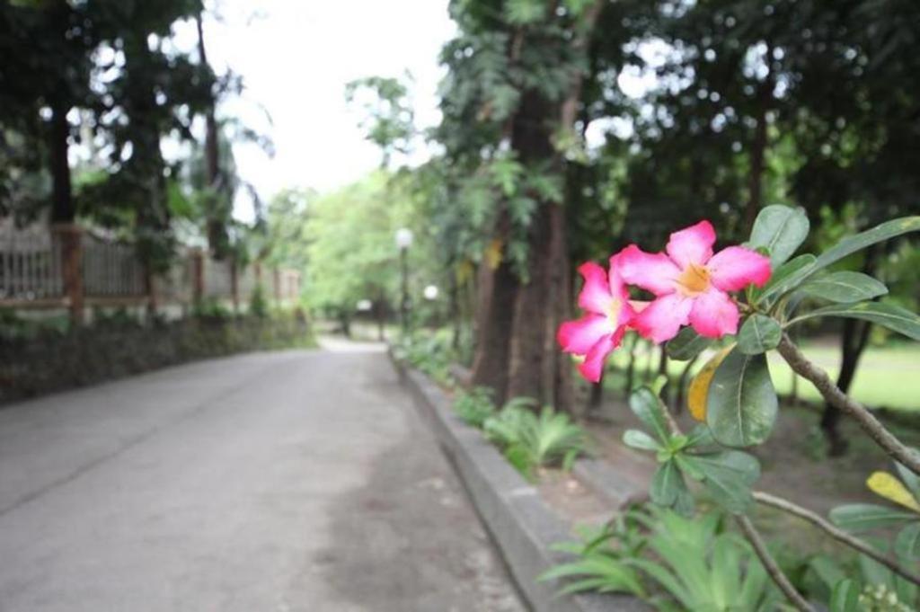 Woodland Hotel Angeles Luaran gambar